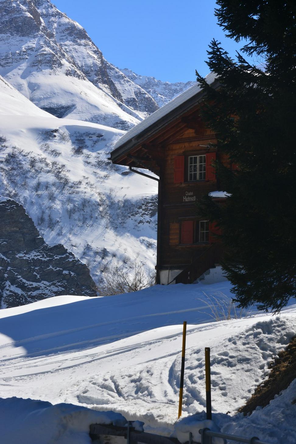 Ski Chalet